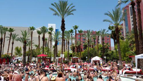 People Hang Out at the Flamingo Hotel Pool Party