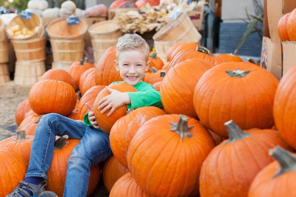 happy kid sitting amongst pumpkins