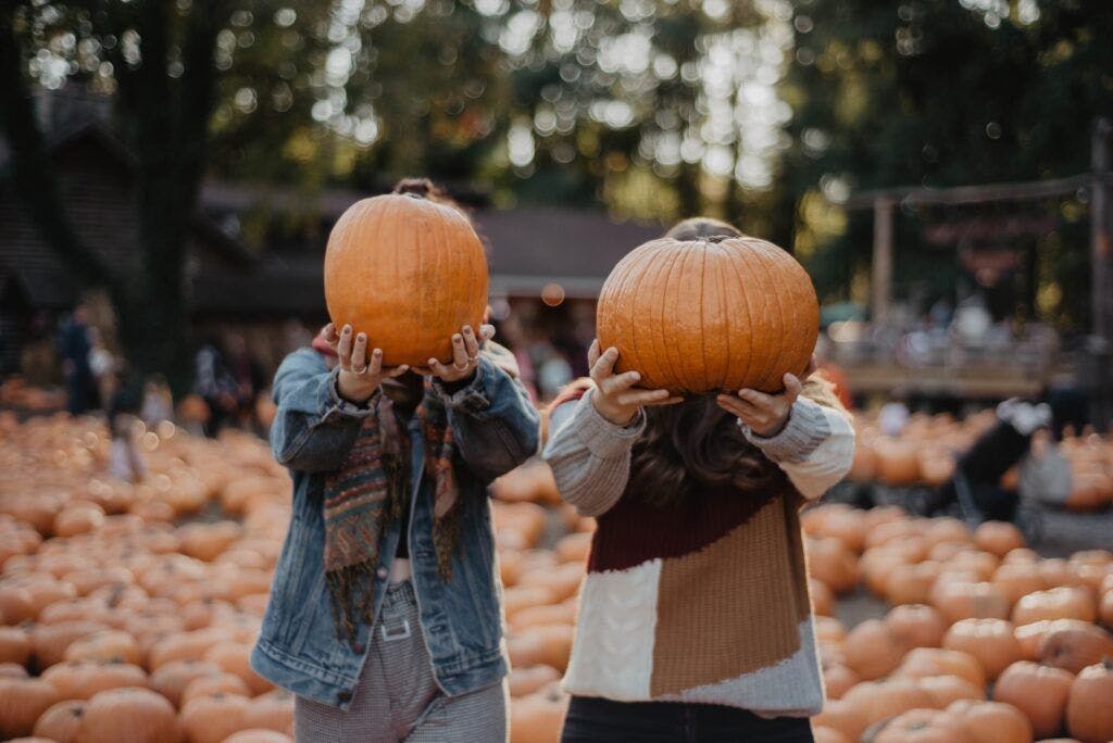 two people holding pumpkins