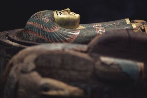 a sarcophagus in a museum