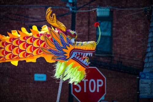 a chinese dragonpuppet