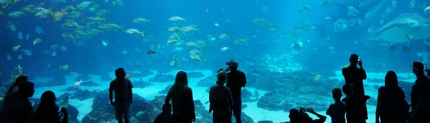 people at an aquarium