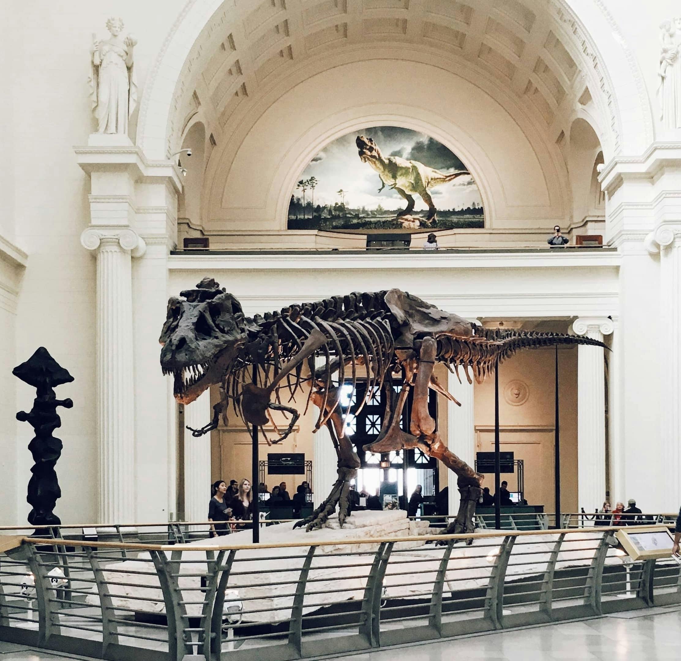 Field Museum T. Rex