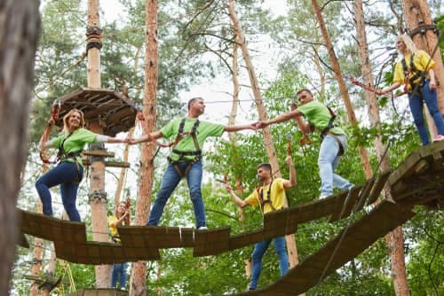 people doing a ropes course